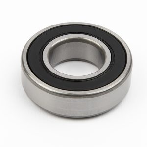 Rear Bearing