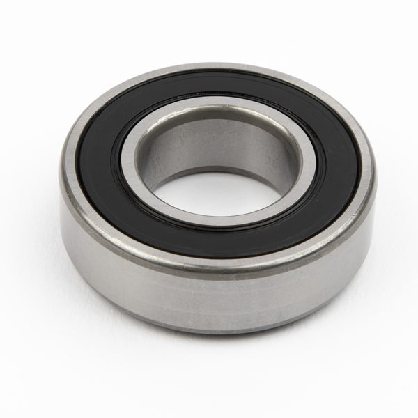 Rear Bearing